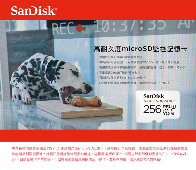 SanDisk高耐用microSDHC記憶卡 256GB 公司貨