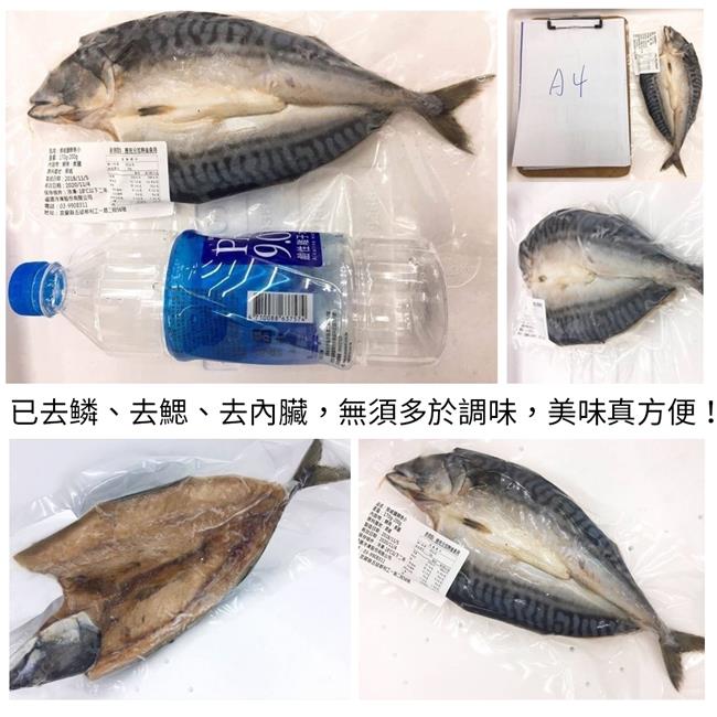 【海陸管家】挪威3去處理薄鹽鯖魚15尾(每尾約180g)