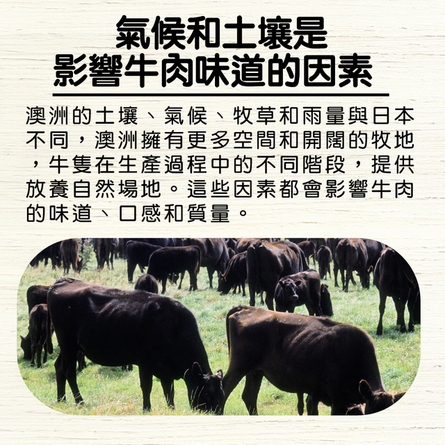 【上野物產】澳洲和牛骰子牛 ( 200g±10%/包 ) x20包