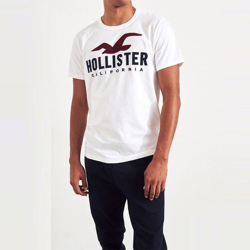 海鷗 Hollister 經典刺繡大海鷗文字短袖T恤-白色
