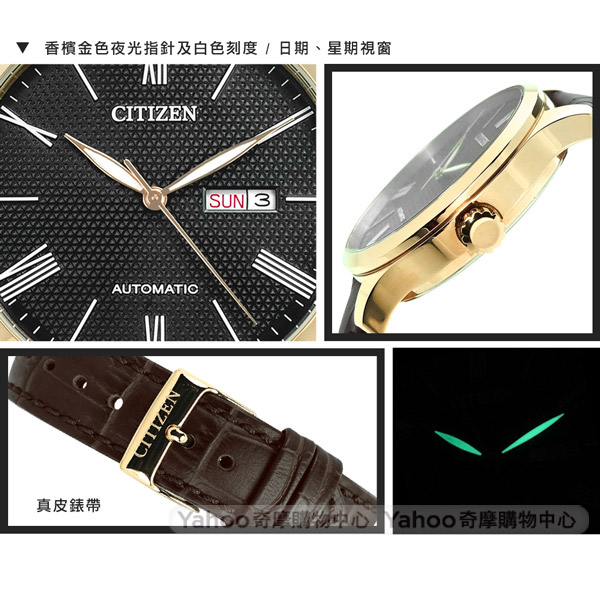 CITIZEN 機械錶 自動上鍊 日期星期 真皮手錶 黑x香檳金框x深褐 / 40mm