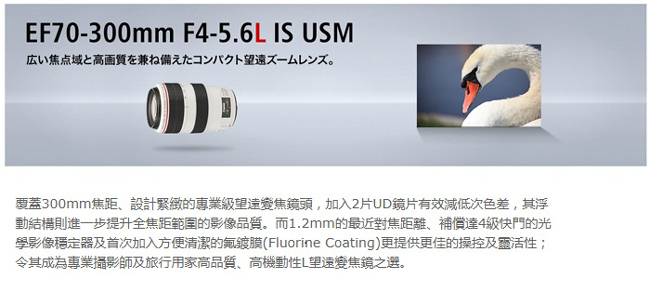 CANON EF 70-300mm F4-5.6L IS USM (平輸)