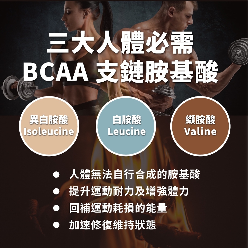 三大人體必需BCAA 支鏈胺基酸異白胺酸白胺酸纈胺酸IsoleucineLeucineValine 人體無法自行合成的胺基酸提升運動耐力及增強體力 回補運動耗損的能量加速修復維持狀態