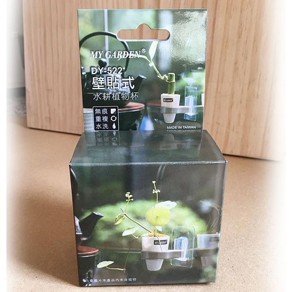 My Garden療癒壁貼式植物容器/水耕植物杯3入-DY522