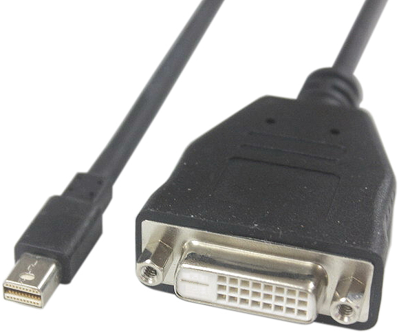 LEADTEK 麗臺 繪圖卡 專用 miniDisplayport 轉 DVI-D 轉接線