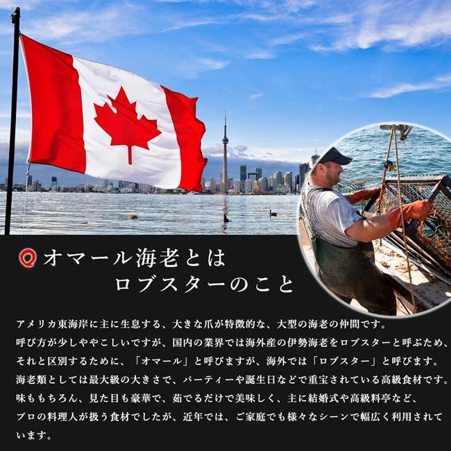 買1送1【海陸管家】加拿大波士頓螯龍蝦(每隻400g-500g) 共2隻