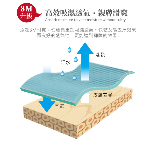 BUTTERFLY-3M專利+頂級天絲-雙人薄床包被套四件組-旅途之秋