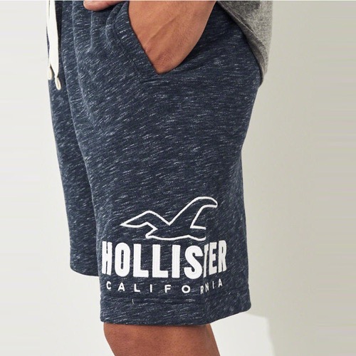 HCO Hollister 海鷗 經典電繡文字運動休閒短棉褲-藍色