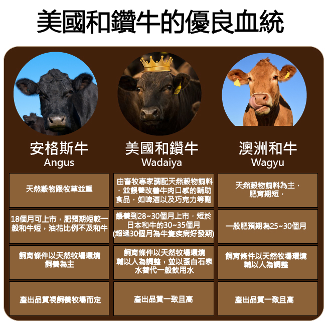 【漢克嚴選】美國和牛PRIME雪花熟成牛小排5片(200g±10%/片)