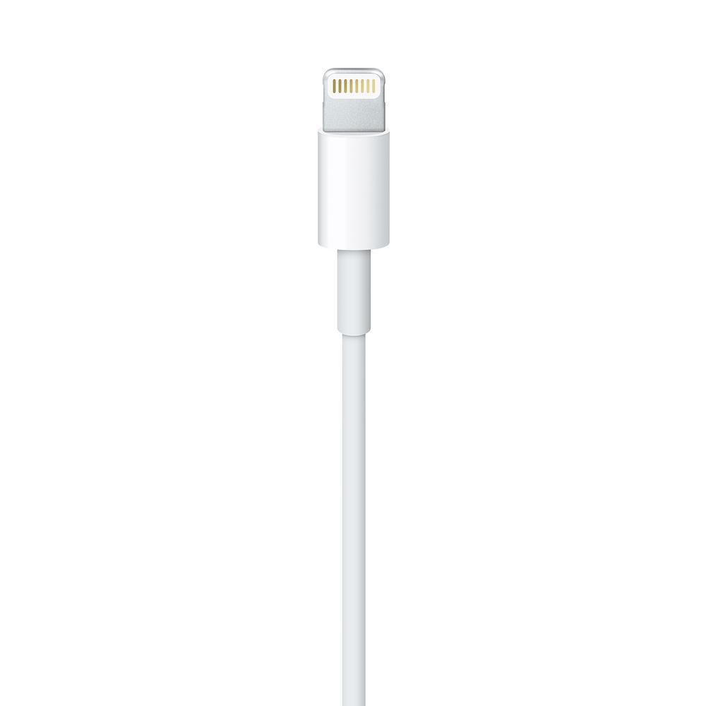 【Apple原廠公司貨】Lightning 對 USB 連接線 (0.5 公尺)