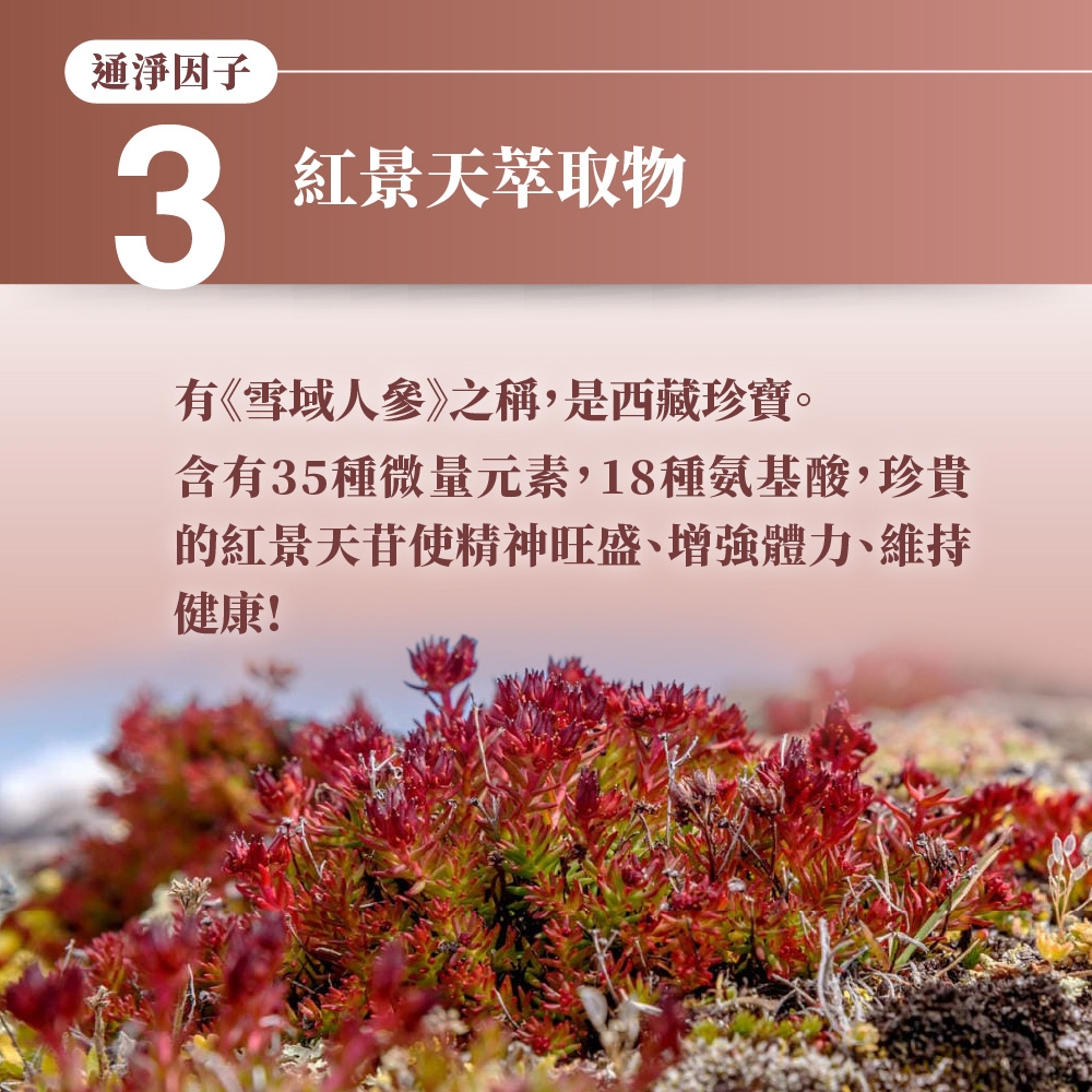 通淨因子3紅景天萃取物有《雪域》之稱,是西藏珍寶。含有35種微量元素,18種氨基酸,珍貴的紅景天苷使精神旺盛增強體力、維持健康!