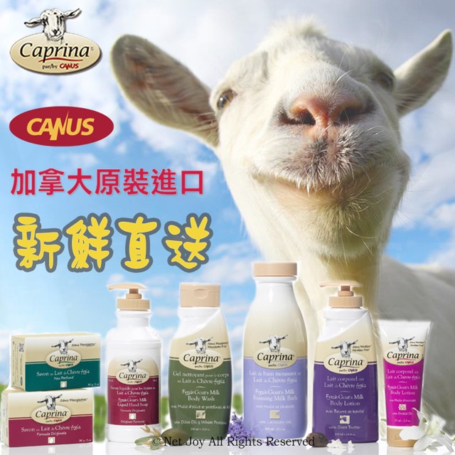 Caprina肯拿士 新鮮山羊奶身體乳液-橄欖油小麥蛋白香味(75ml)