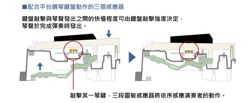 CASIO卡西歐原廠CELVIANO頂級音質數位鋼琴AP-710BK