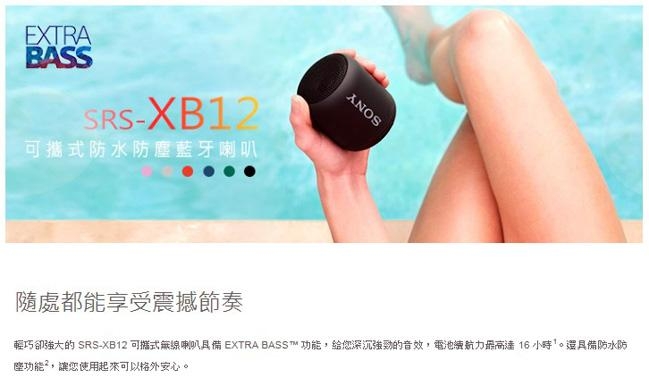 SONY 可攜式無線藍牙喇叭 SRS-XB12 藍色