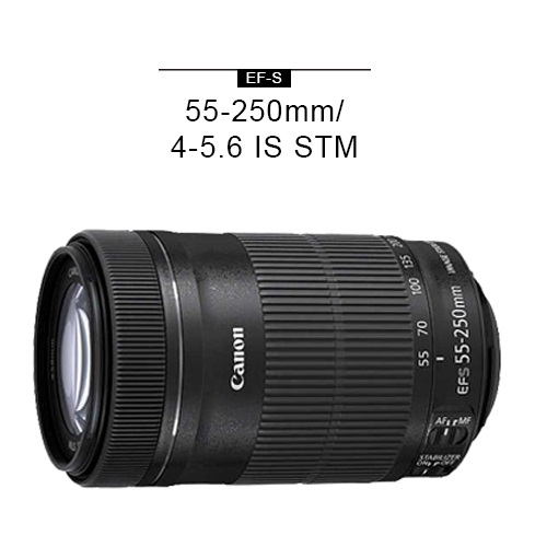 【得価超特価】キャノンCanon EF-S 55-250 F4-5.6 IS レンズ(ズーム)