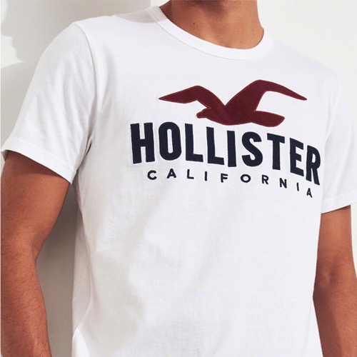 海鷗 Hollister 經典刺繡大海鷗文字短袖T恤-白色