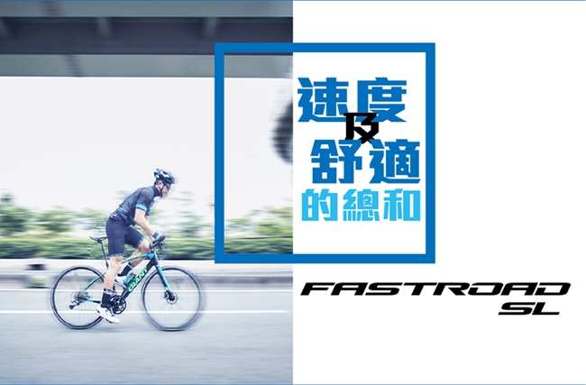 (無卡分期-12期)GIANT FASTROAD SL 2