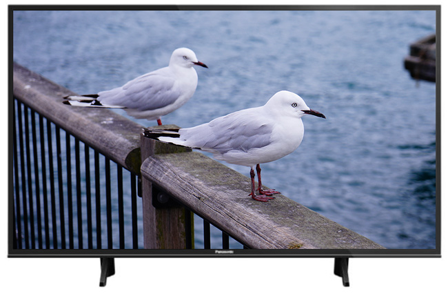 Panasonic國際 65吋 4K 智慧聯網液晶顯示器+視訊盒TH-65FX600W