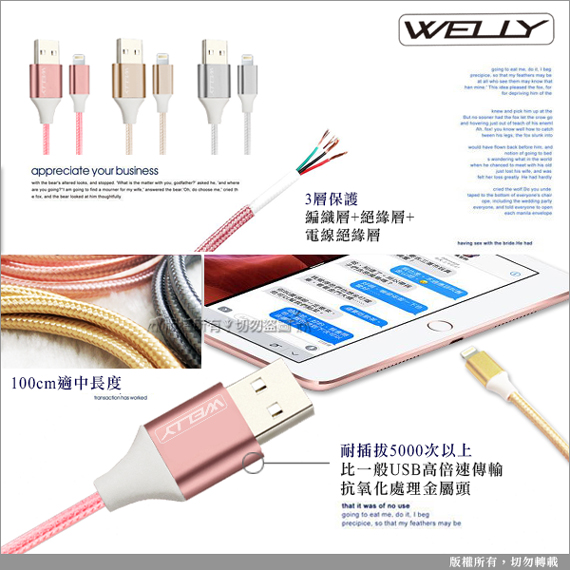 WELLY iPad pro Air Lightning 二代編織線-30CM