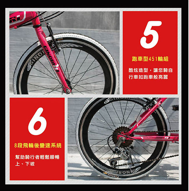 BIKEDNA G1 PLUS 20吋24速摺疊車 451輪組