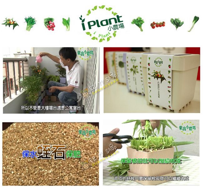 iPlant積木農場-西瓜