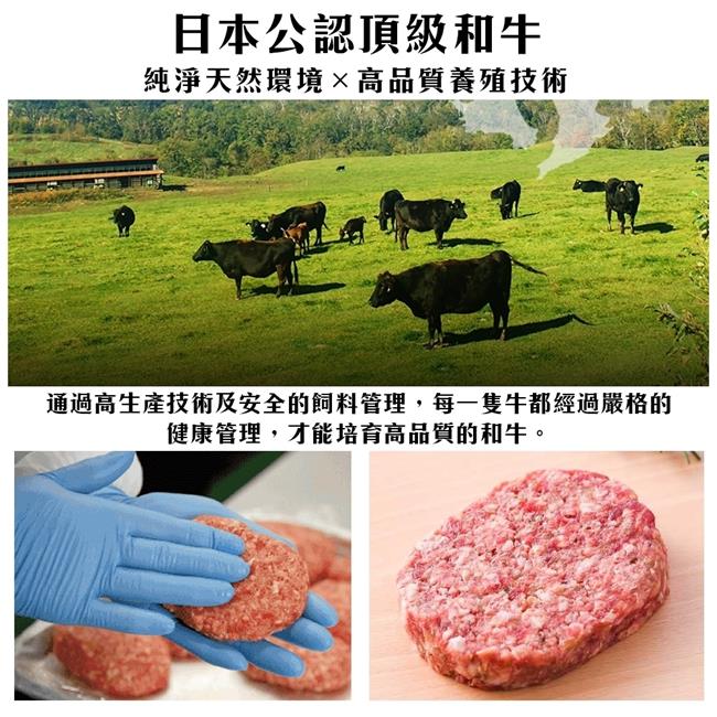 【海陸管家】日本和牛漢堡肉排10片(每片約100g)