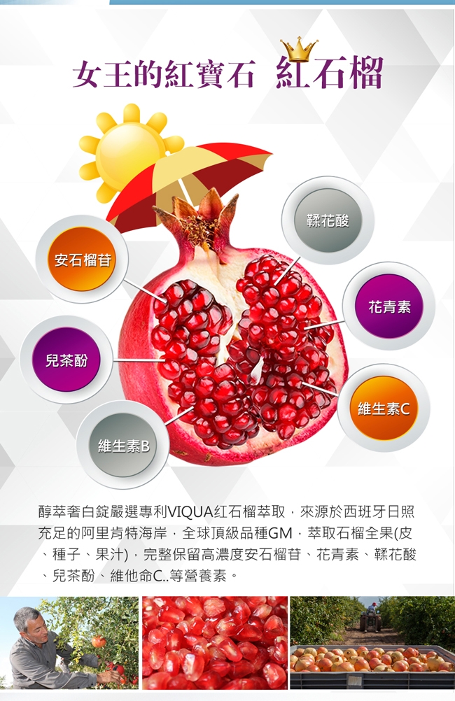 DV笛絲薇夢- 醇養妍(野櫻莓+維生素E)x3盒+醇萃奢白錠(穀胱甘肽)x1盒