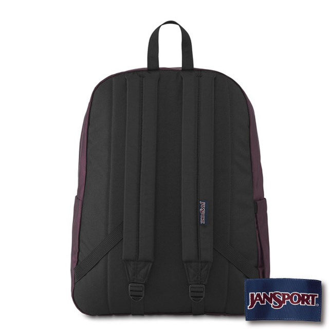 JANSPORT ASHBURY系列後背包 -乾燥花紅