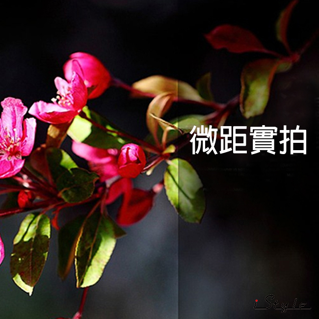 iStyle 自然觀察家 (20X微距)