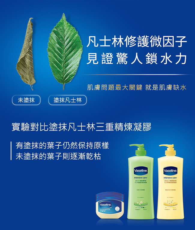 VASELINE 凡士林完美十效亮白修護潤膚露_400ml_6入超值組