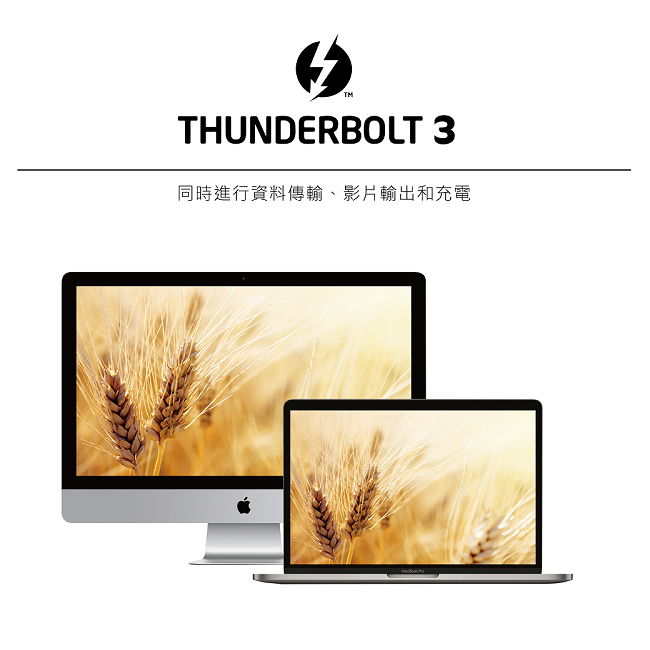 Soodatek Thunderbolt 3 Type-C傳輸線/SCCT3-PV070