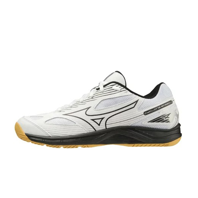 Mizuno Cyclone Speed 4 [V1GA238054] 男女排球鞋基本款運動訓練 