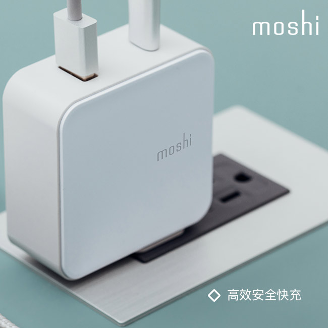 Moshi ProGeo 旅充系列 USB-C 及USB 雙端口充電器 (42W)