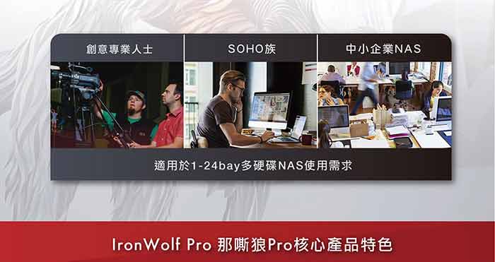 Seagate 那嘶狼【IronWolf Pro】14TB 3.5吋NAS硬碟