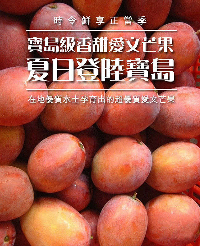 預購-風之果 枋山寶島級香甜40年老欉愛文芒果禮盒10台斤(18-19顆)