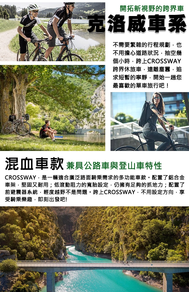 美利達 城市休旅車 Crossway 克洛威 100 銀 2019