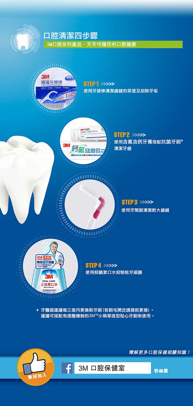 3M 8度角潔效抗菌牙刷-標準刷頭纖細尖柔毛+平毛(1入)