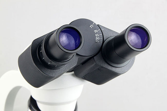 【Motic】BA81B MS 1000x 中型雙眼LED蓄電複式生物顯微鏡