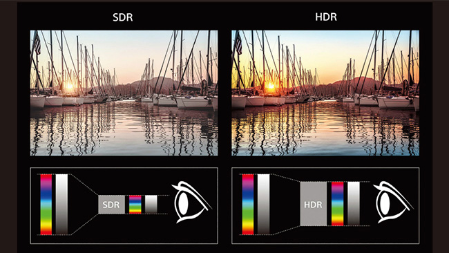 SONY 49吋 4K HDR液晶電視 KD-49X7000F
