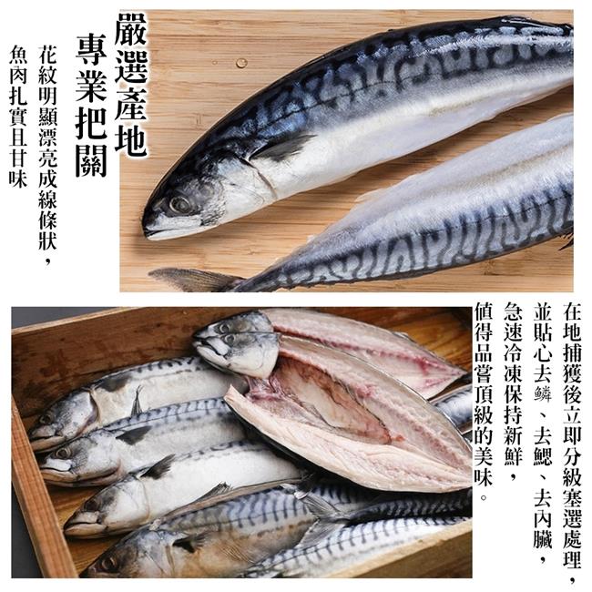 【海陸管家】挪威3去處理薄鹽鯖魚20尾(每尾約180g)