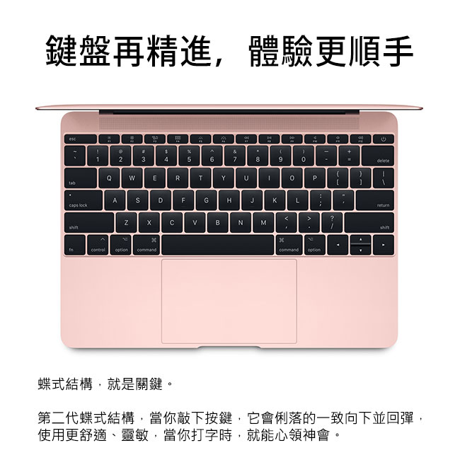 Apple MacBook 8G/256SSD+1T/MacOS(MNYF2TA/A)