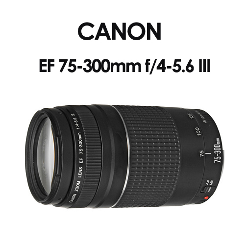 Canon EF 75-300mm F4-5.6 III (平輸) | CANON | Yahoo奇摩購物中心