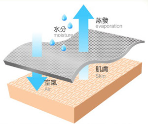 雪夫 CHAFER 竹炭銀絹氣墊織法除臭健康男性五趾襪-6雙