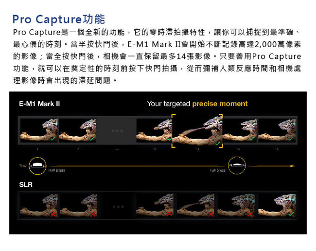 OLYMPUS OM-D E-M1 Mark II 單機身*(中文平輸)