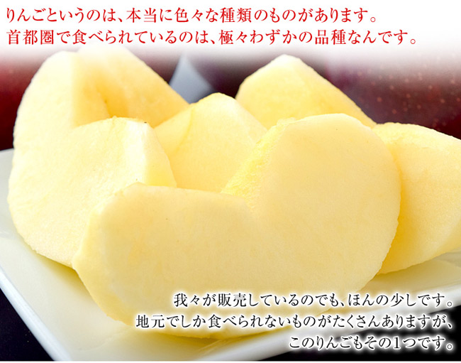 果之家 日本青森脆甜大紅榮蘋果XL特級22-26顆禮盒(約10kg，單顆為380-450g