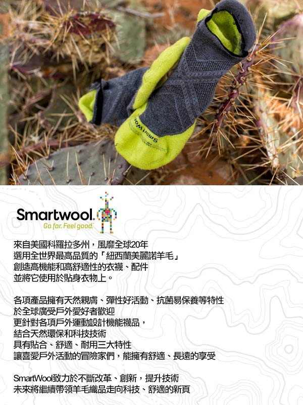 大碼五折↘SmartWool 女PhD戶外中級減震印花中長襪 灰褐色