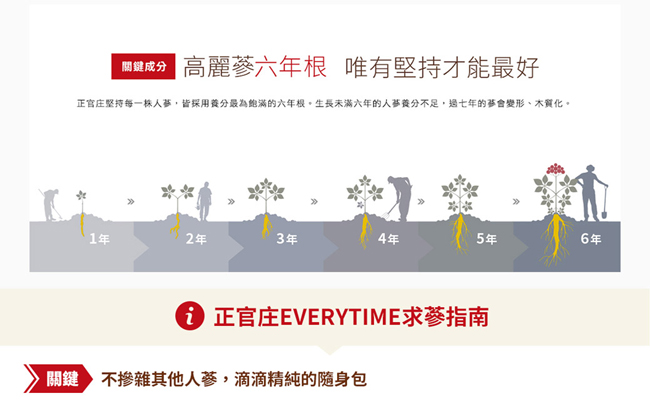 正官庄高麗蔘精EVERYTIME PLUS 10ml*30入加贈EVERYTIME 3入