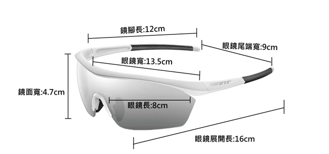 GIANT STRATOS LITE 空氣力學款太陽眼鏡 NXT全天候變色片