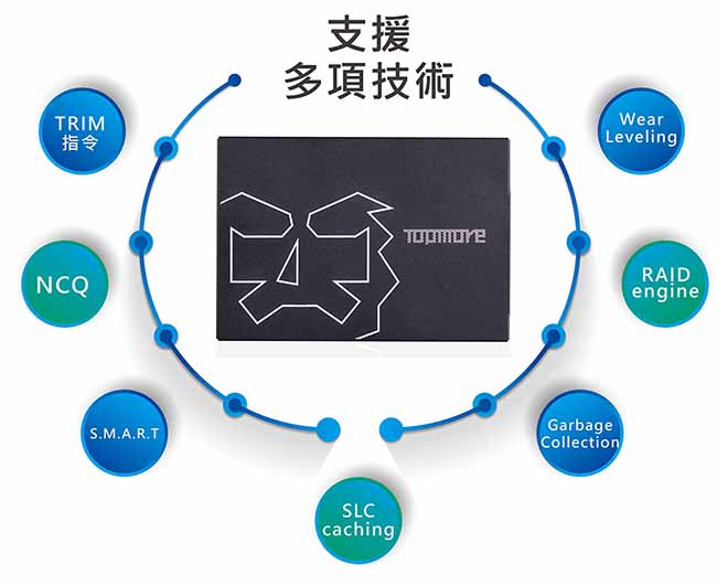 達墨TOPMORE 120GB 2.5吋SATAIII SSD TP100(TLC)