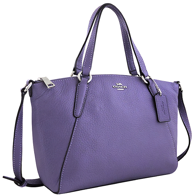 COACH 紫色皮革小型手提/斜背兩用包